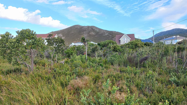0 Bedroom Property for Sale in Pringle Bay Western Cape